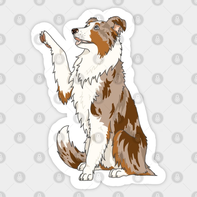 Red tri color merle border collie Sticker by The Christmas Lady